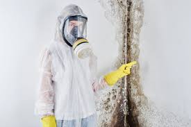 Professional Mold Removal in Leisure Village West, NJ